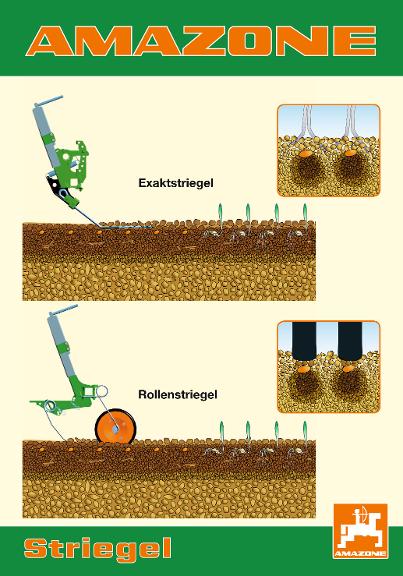 Poster Striegel – 70 x 100 cm