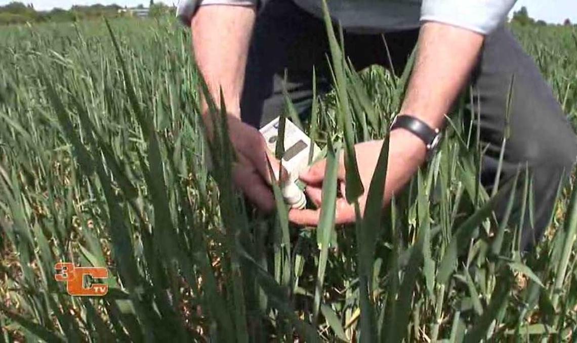 Video 3C-TV: Differenzierte Stickstoffdüngung - AgriCon - Arnim Grabo