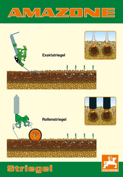 Poster Striegel – 70 x 100 cm