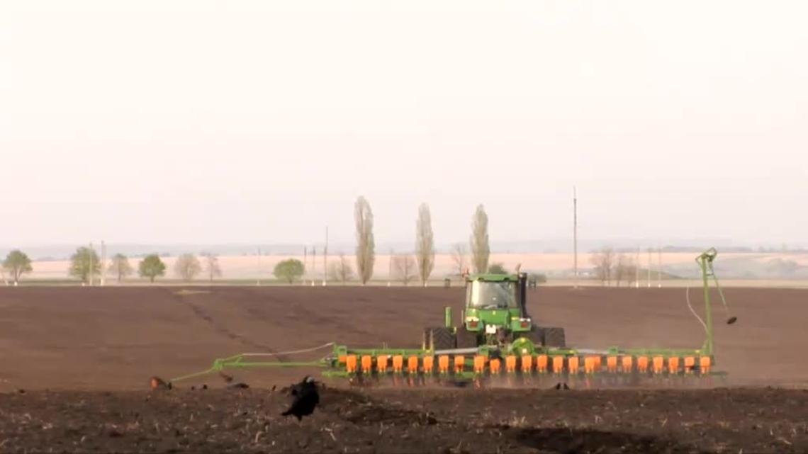 Video ED 12000