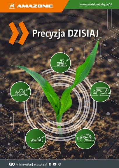 Beileger Precyzja DZISIAJ