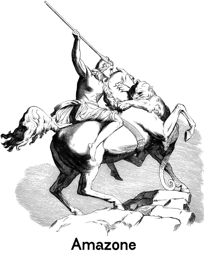 Pferd Strich