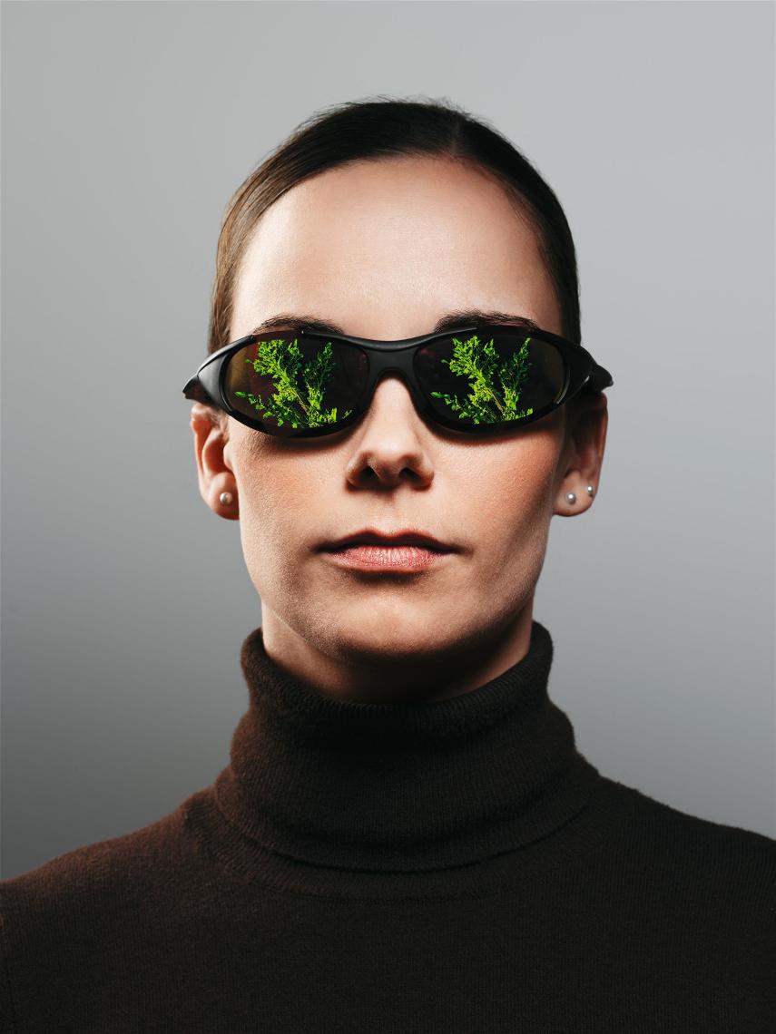 BRILLE Montage Distell