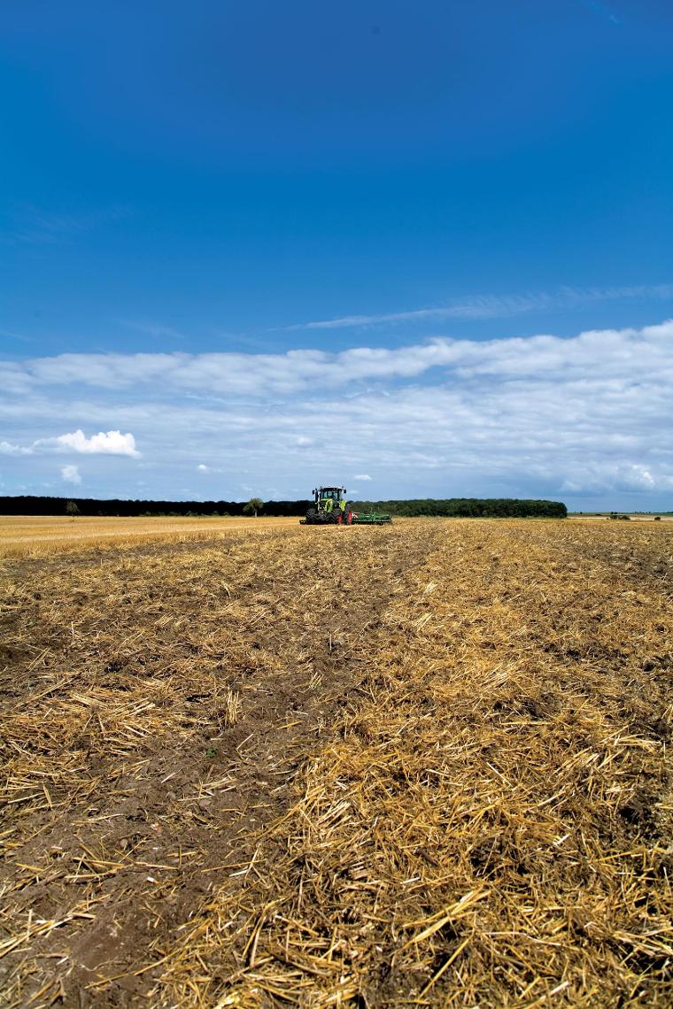 Catros Claas koehler 79649