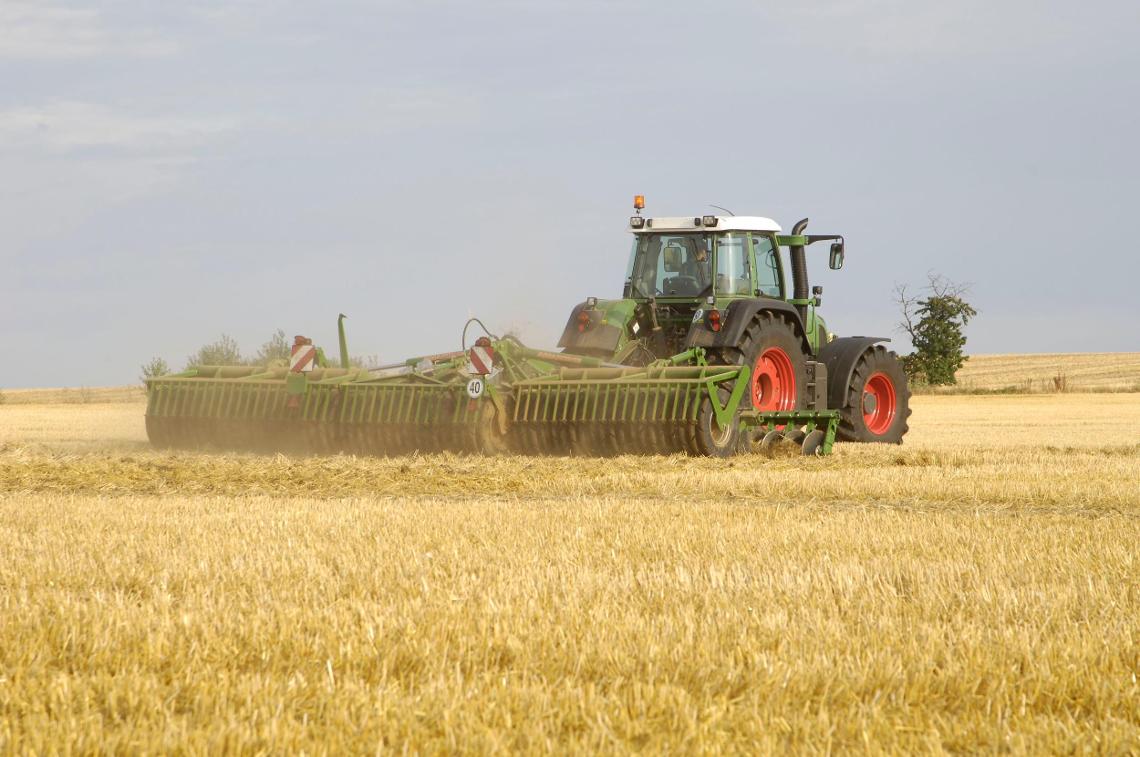 Catros Fendt DSC7599