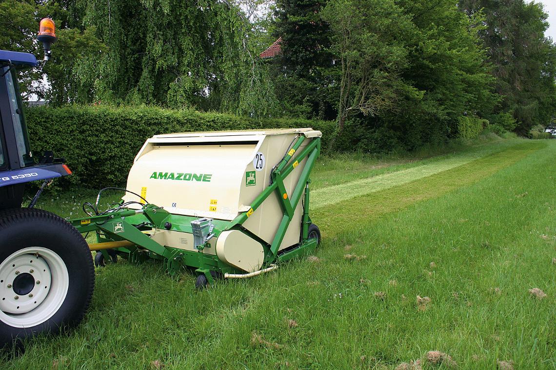 Grasshopper