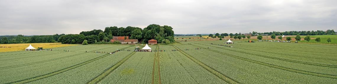 Beratertage 2008