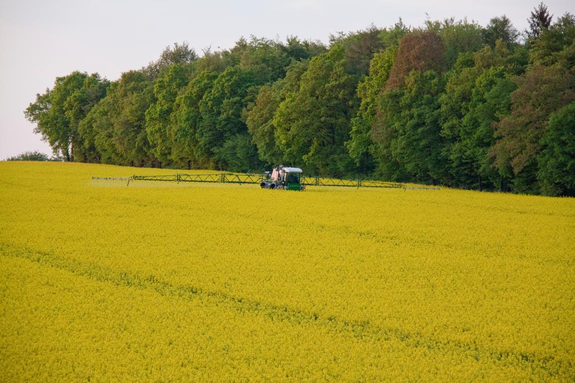 SX4000