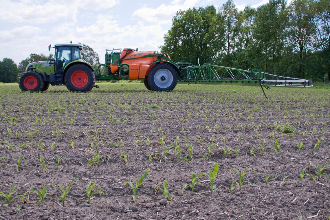 UX4200 Claas Mais 5234d0