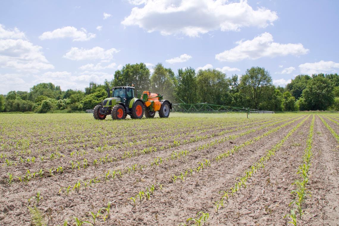 UX4200 Claas Mais 5266d0
