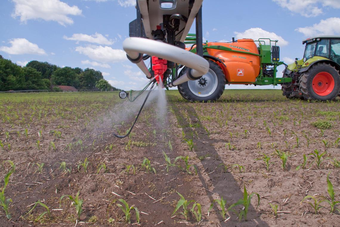 UX4200 Claas Mais 5289d0