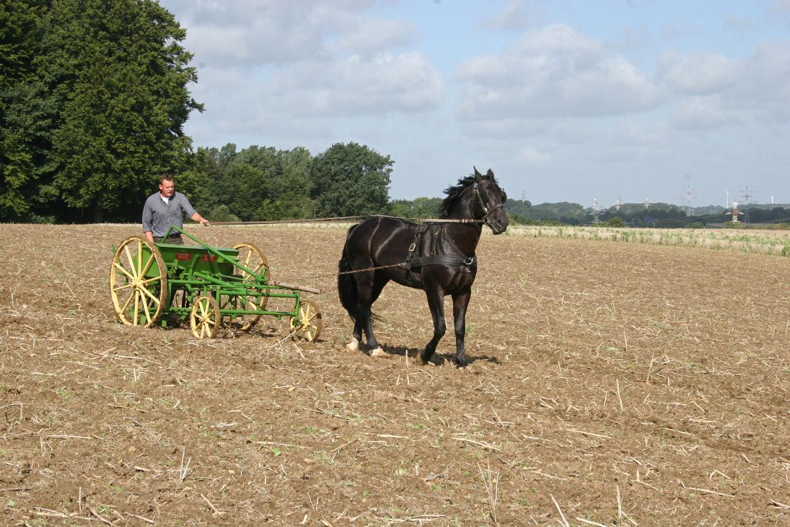 Amazone Vergleich D1 D9 4317