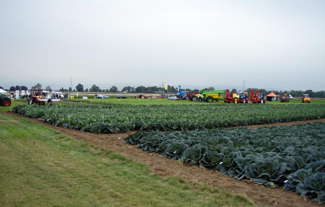 Gemuesebautag 2009 P9170093