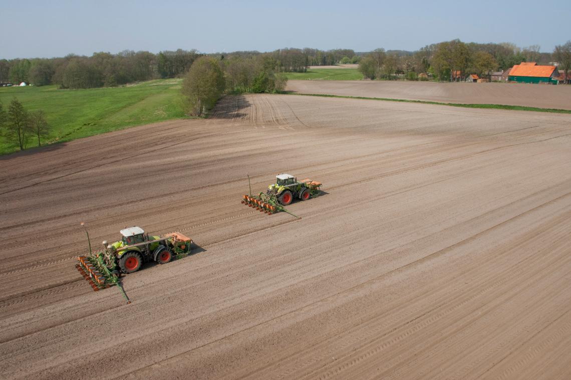 Amazone ED602-FT d4 5512