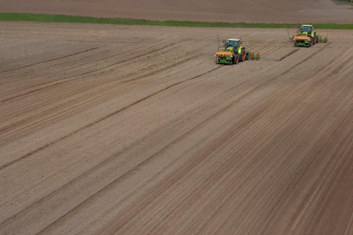 Amazone ED602-FT d4 5515