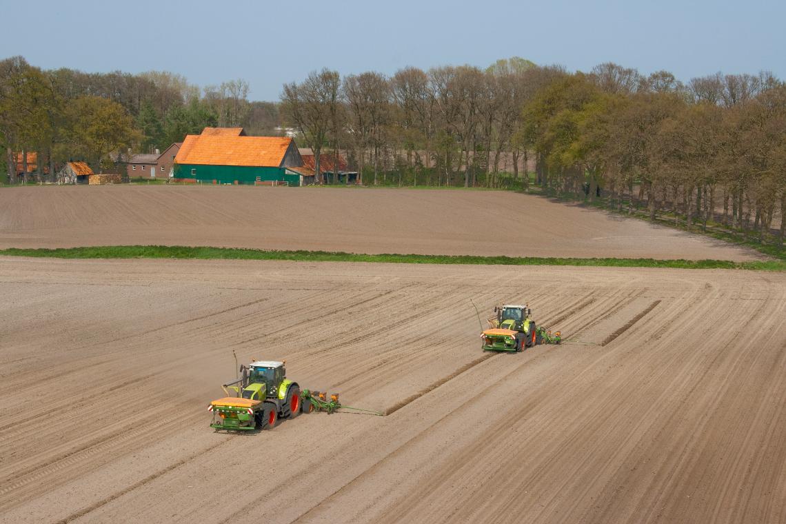 Amazone ED602-FT d4 5517