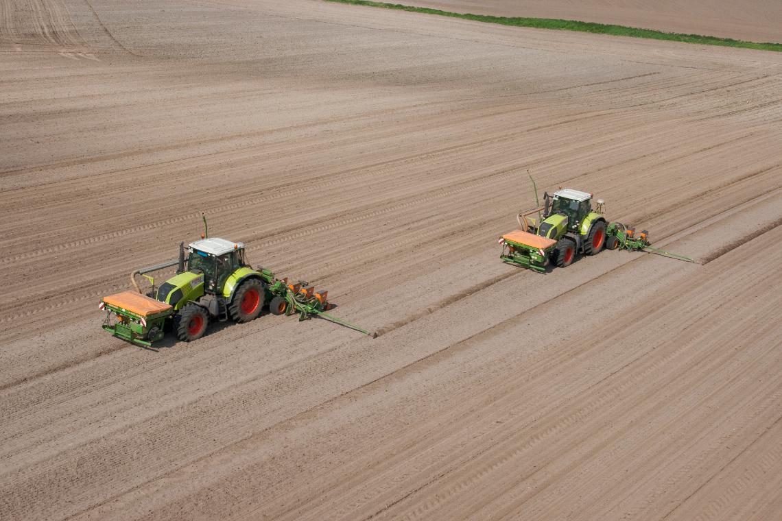 Amazone ED602-FT d4 5519