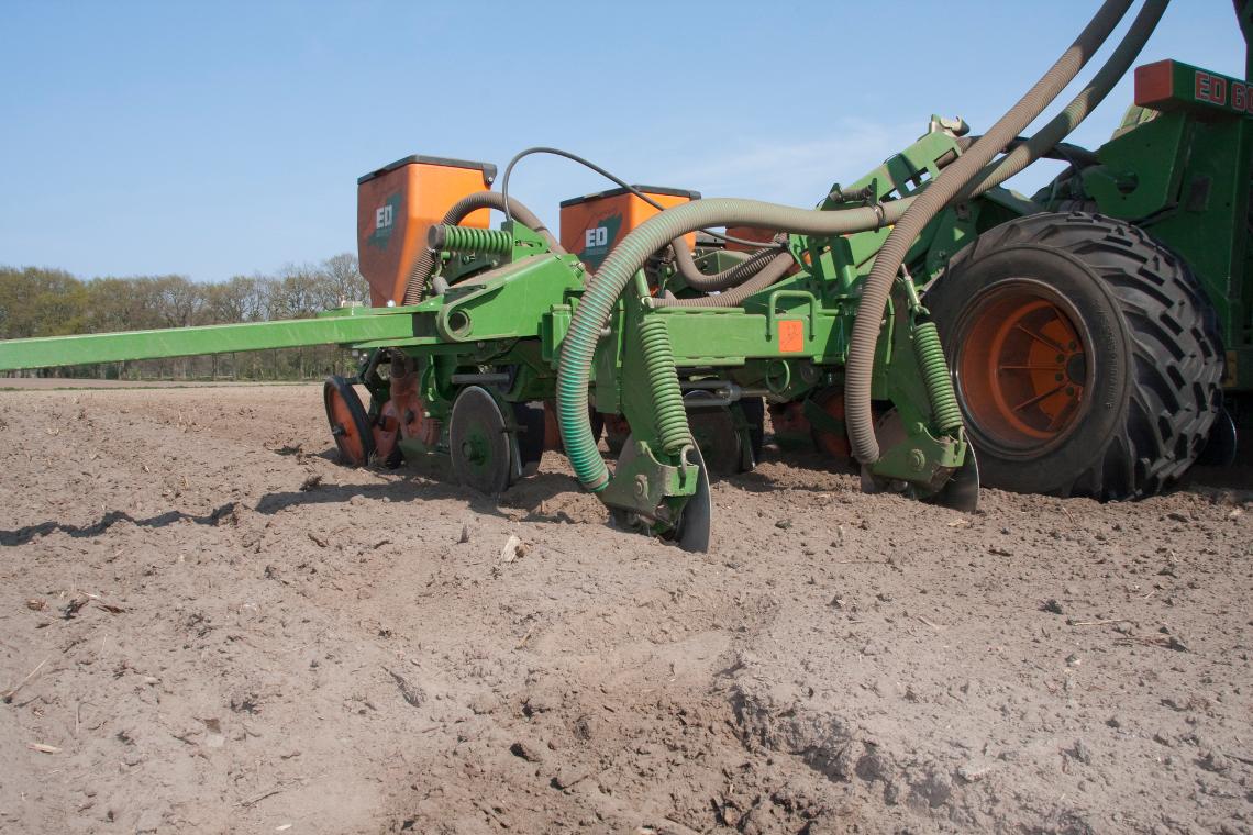 Amazone ED602-FT d4 6980