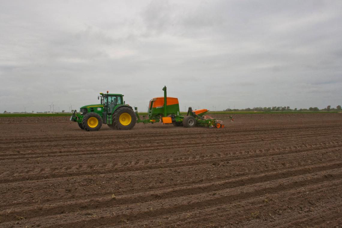 Amazone EDX6000-T d4 5846
