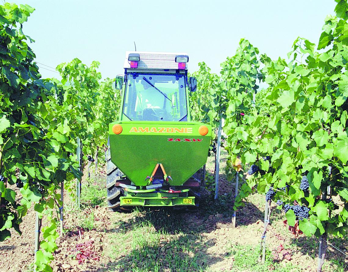 Streuer Weinberg