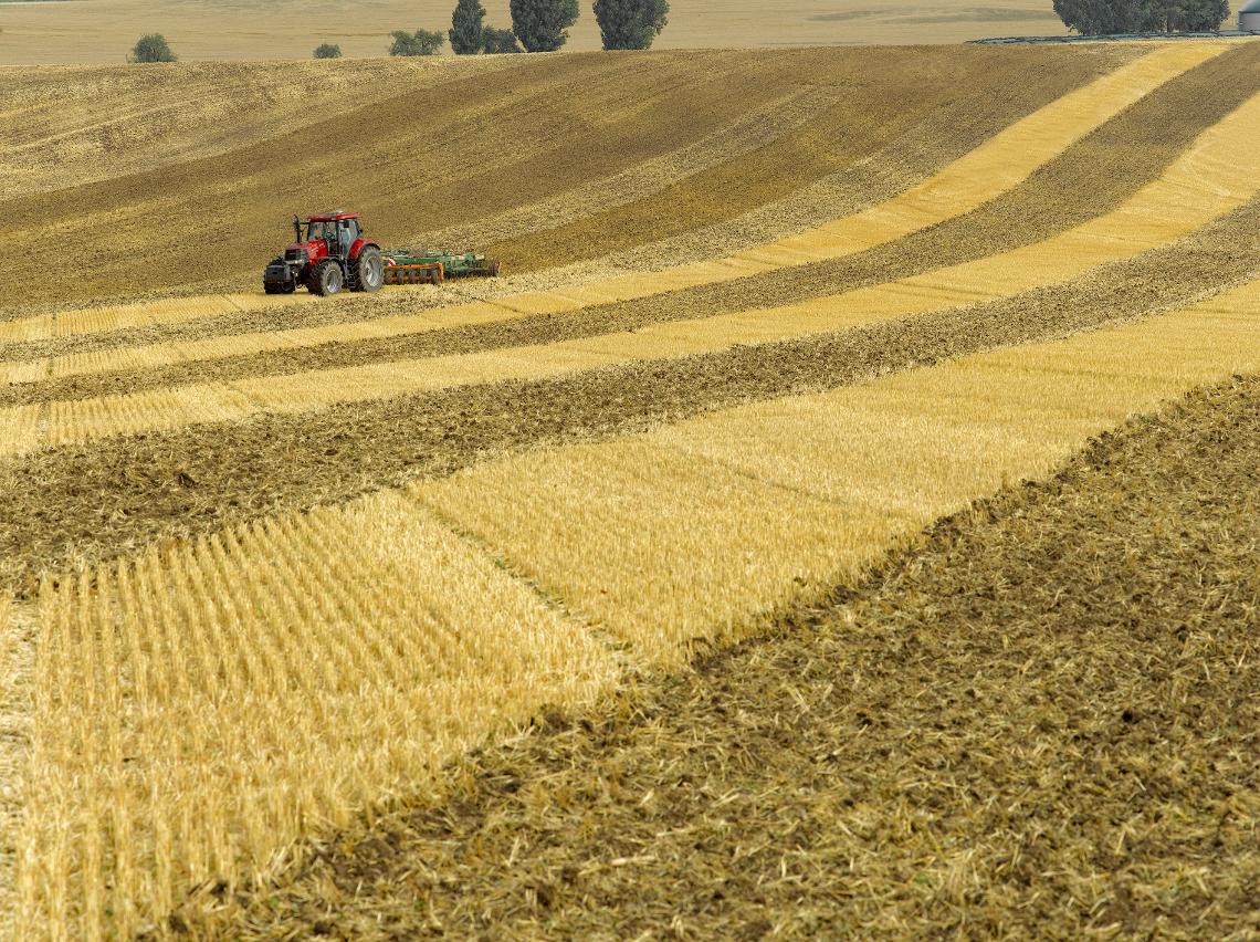 Centaur Case L 004449 230 cvx