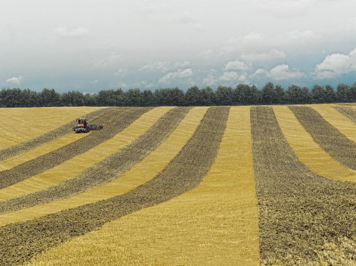 Centaur Case Quadtrac 600 L 004489