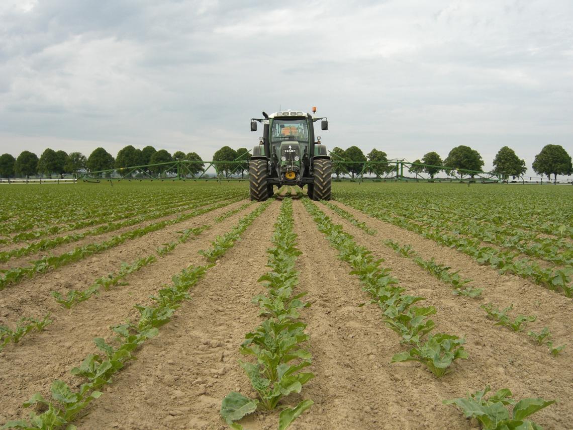 UX3200 Rueben Fendt dx CIMG0009