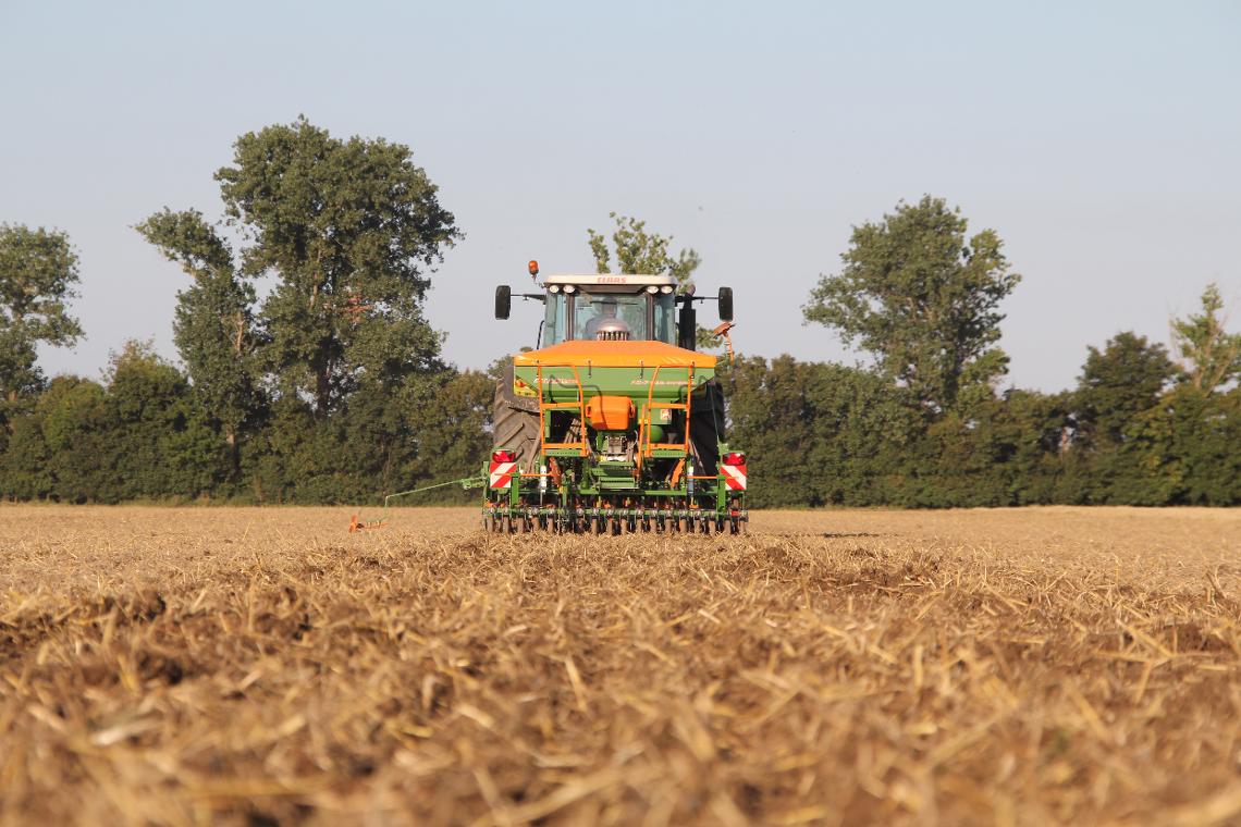 ADP 303 Special Claas dx-gl 1143