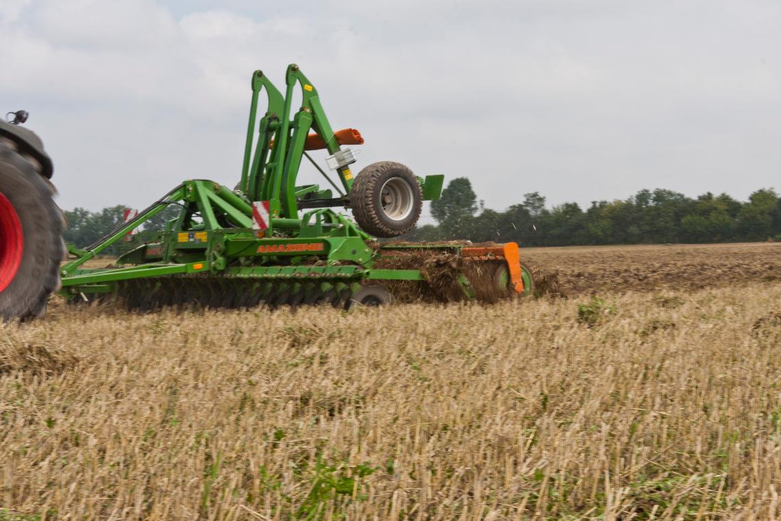 Catros 6001-TS Fendt