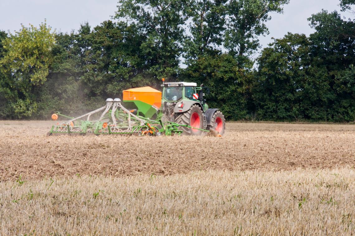 Cirrus 6002 Fendt