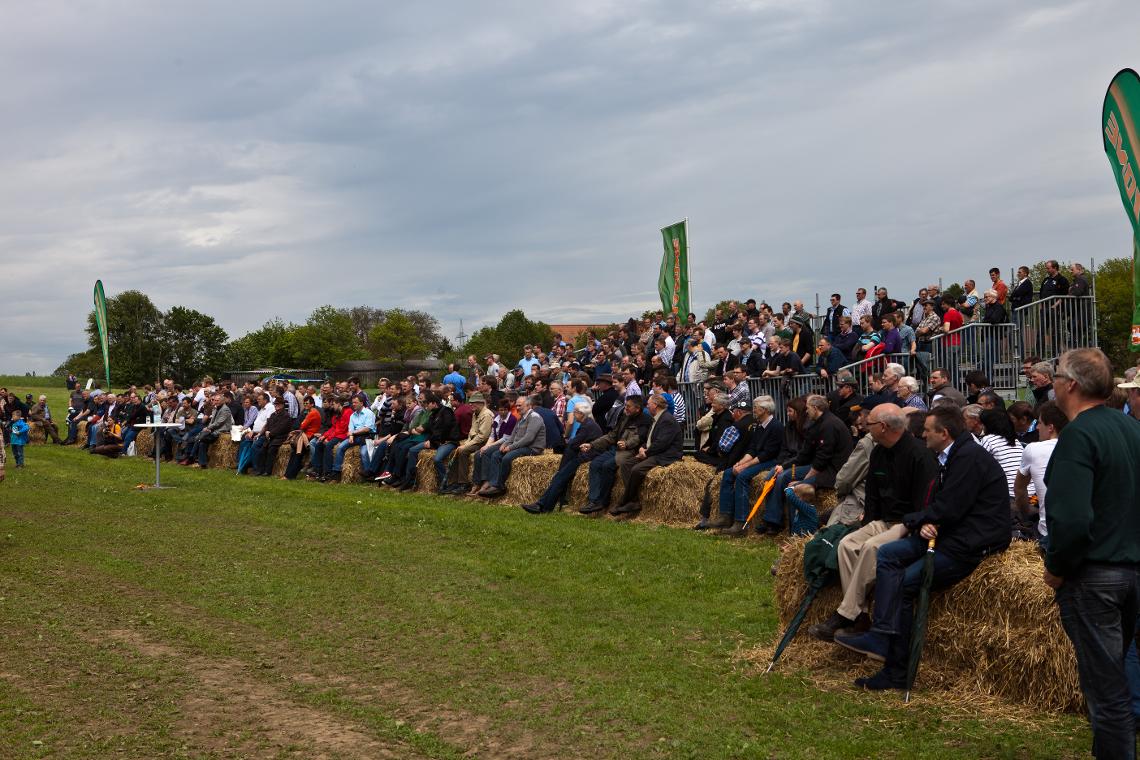 Amatechnica2012