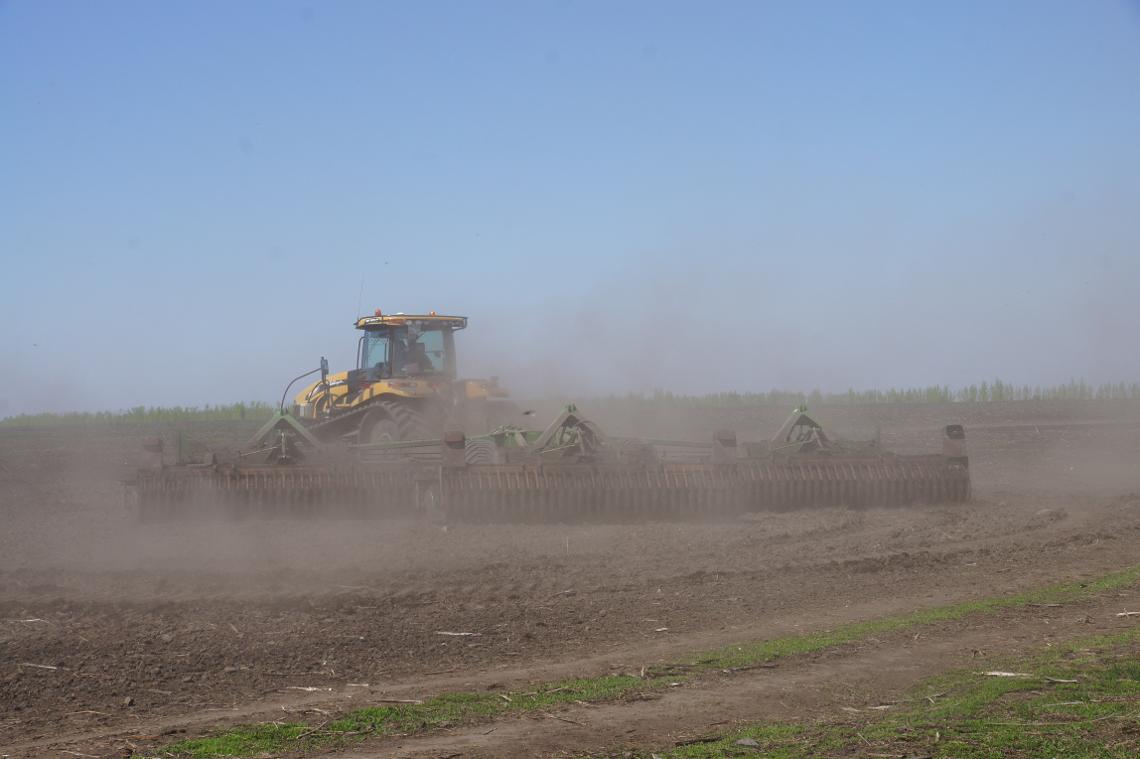 Catros12000 Koppel Challenger dx sam 06735