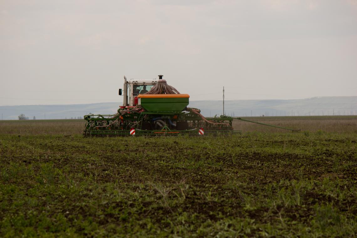 Primera DMC 12000 dx sam 9851