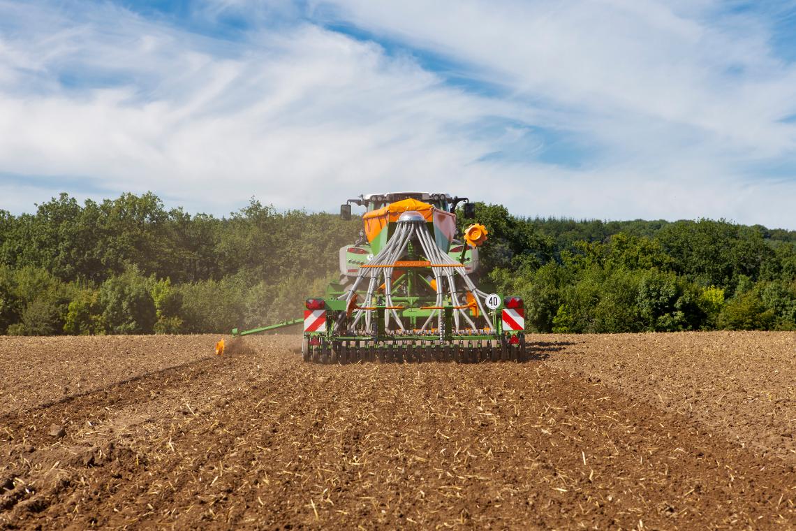 Cirrus3002 Fendt