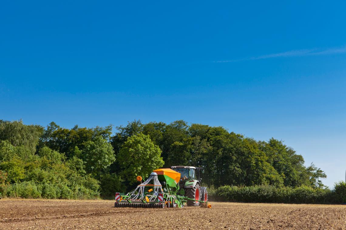 Cirrus3002 Fendt