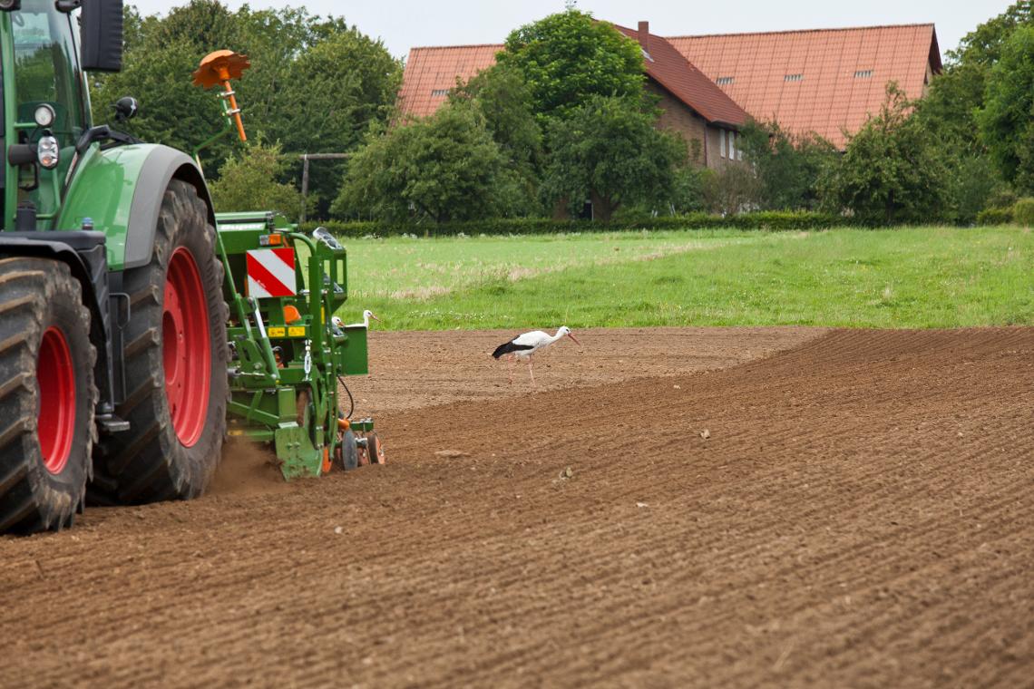 AD3000 Fendt