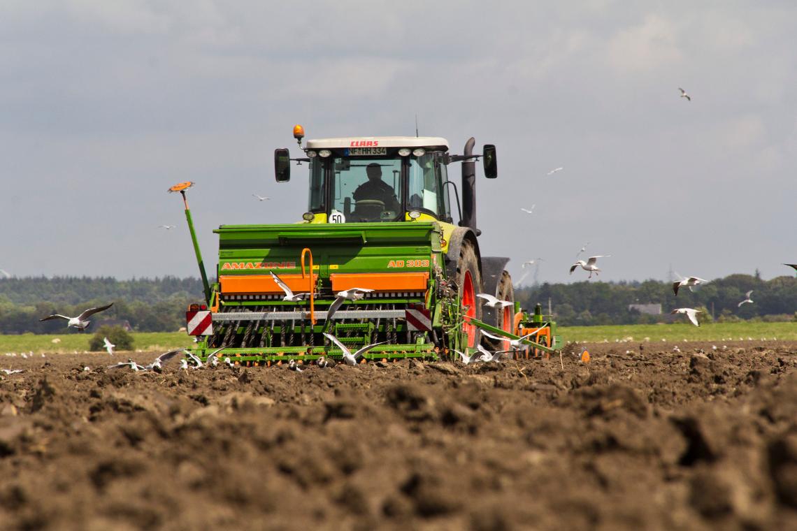 AD303 Front KG Claas dx jg 2638
