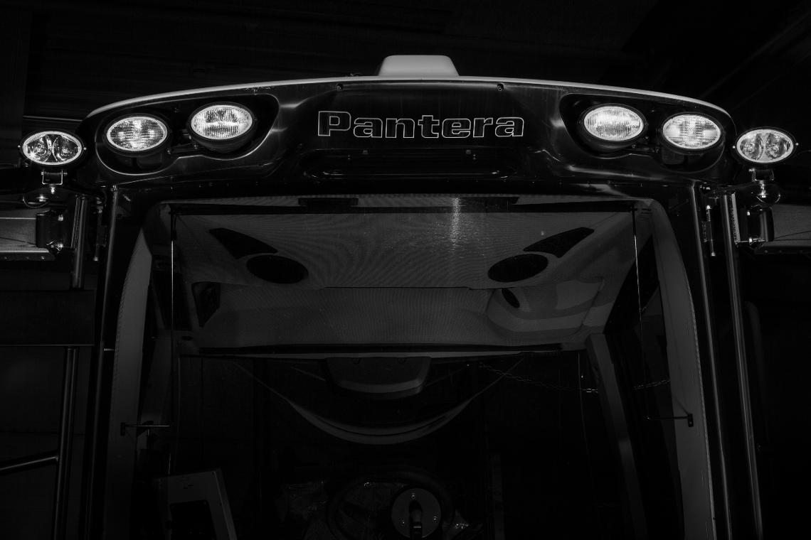 Pantera Face top1