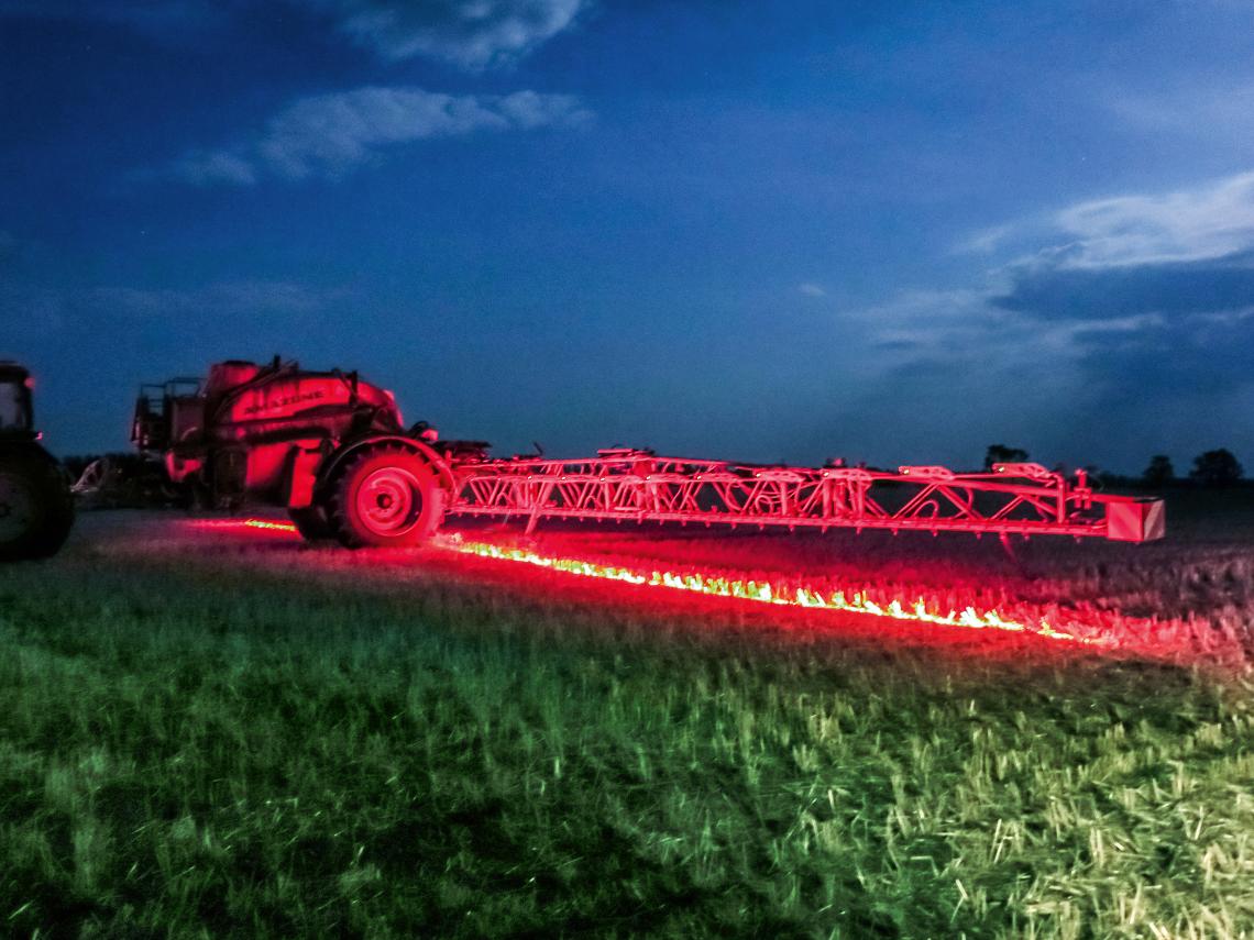 Weedit nachts IMG 4337