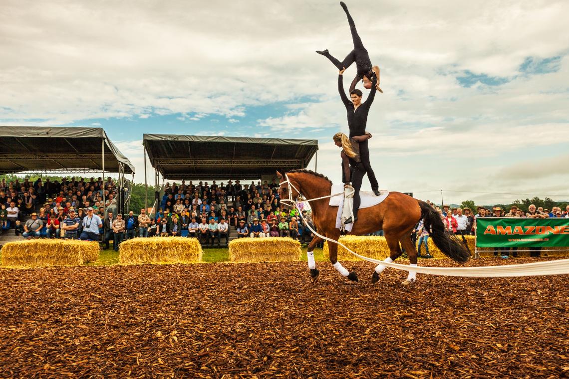 Amatechnica2016 Volti