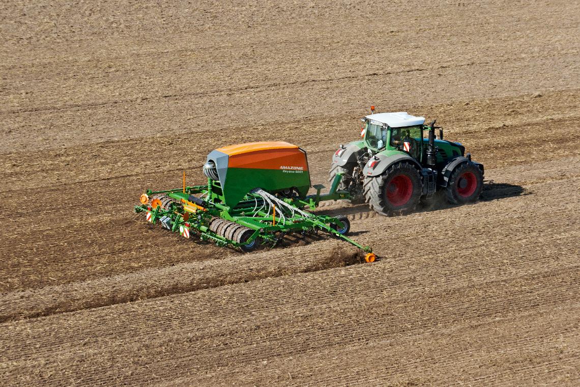 Cayena 6001 Feld