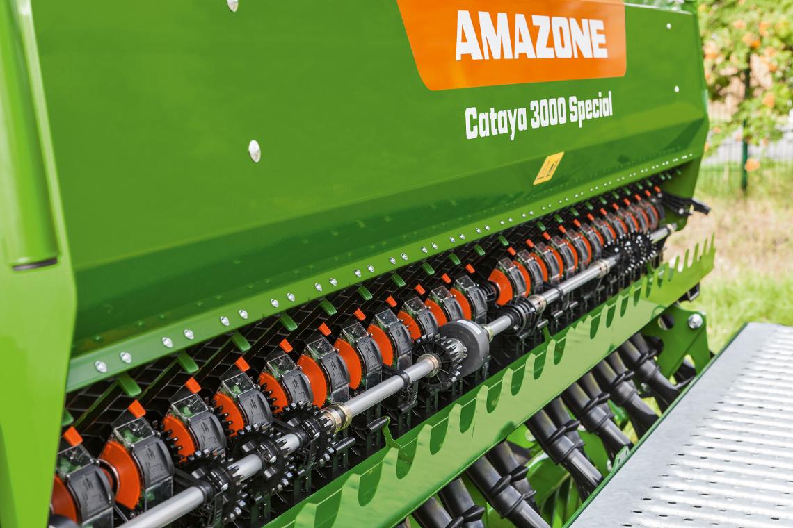 Cataya3000special detail