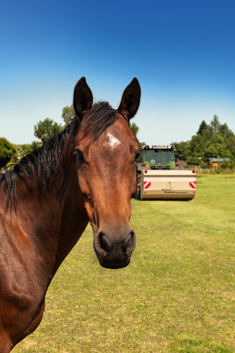 Horsehopper Weidemanagement