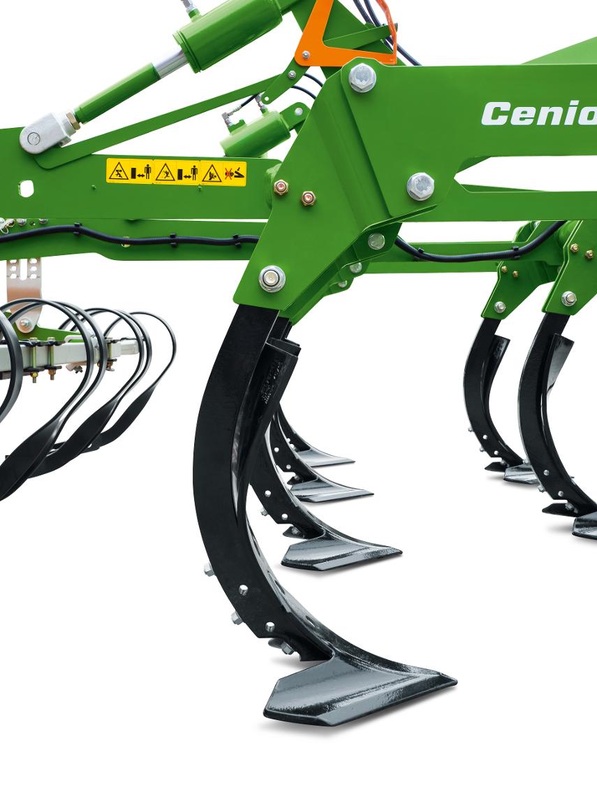 Cenio3000special-Gaensefuss