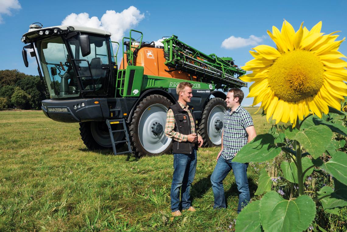 Gruppe Pantera Sonnenblumen dx hp image072