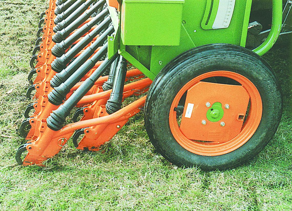 Grasschlitzschuhe