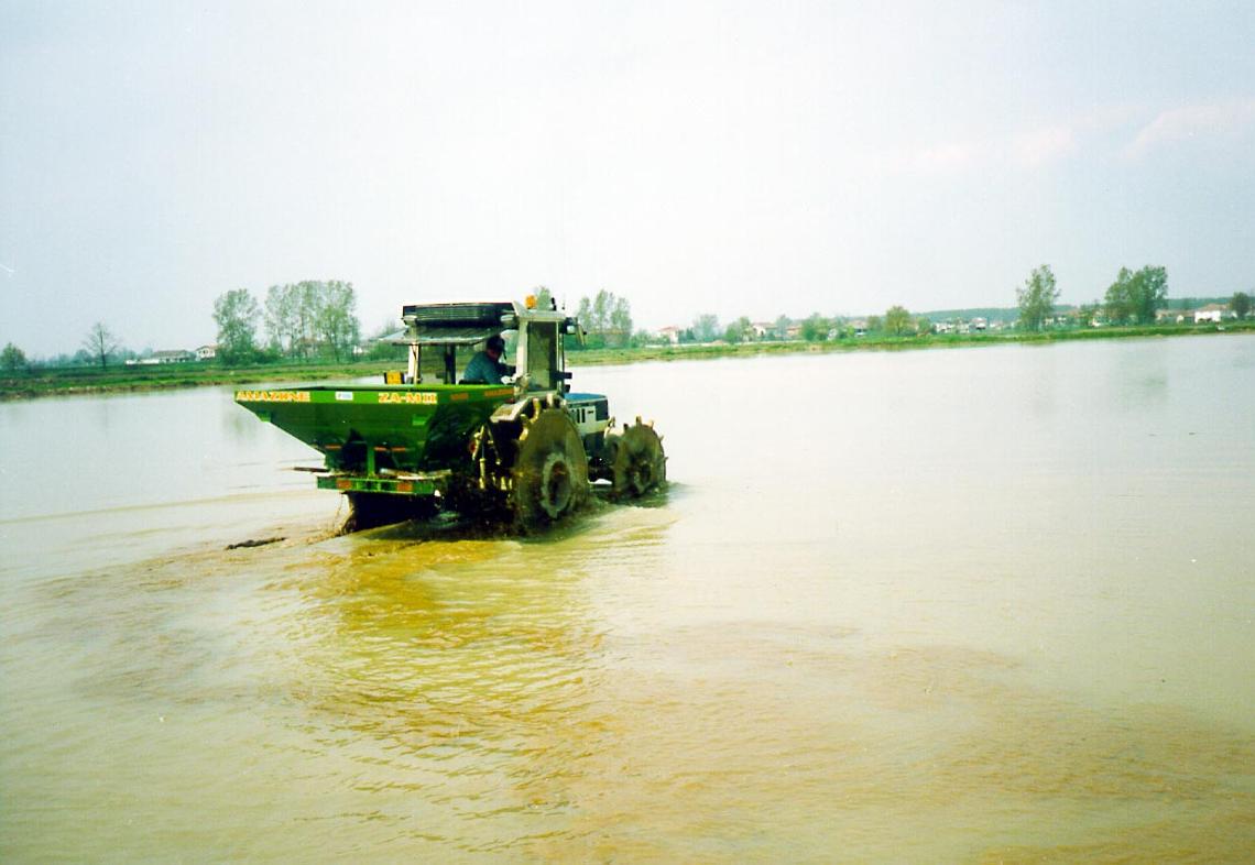 zam reis