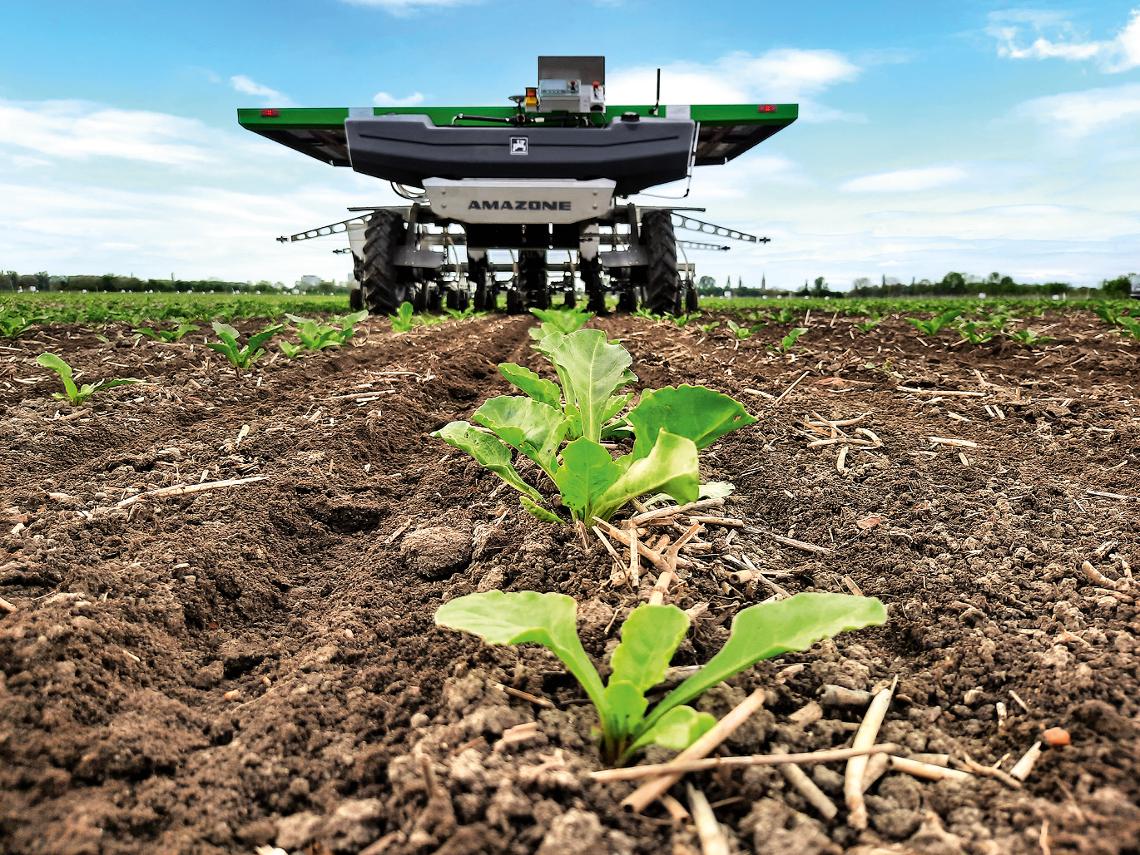 Bild 08 Suedzucker amazone Farmdroid Zuckerruebe