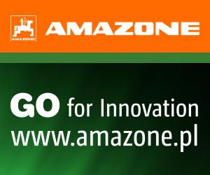 Anzeige „GO for Innovation“, 300x250pix, rgb, pl
