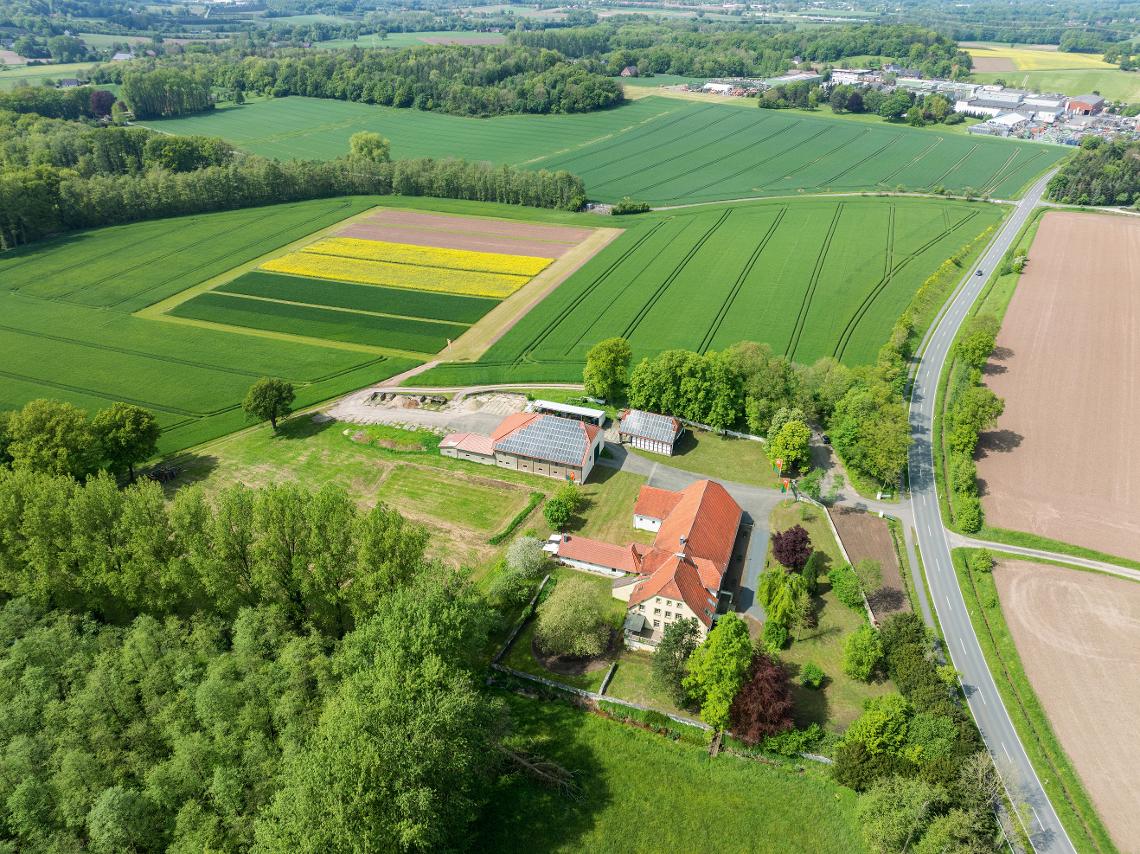 Wambergen Versuchsflaechen